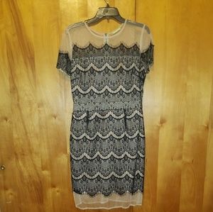 Gianni Bini Nude Lace Dress